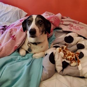 Meet your Posher, Ashley